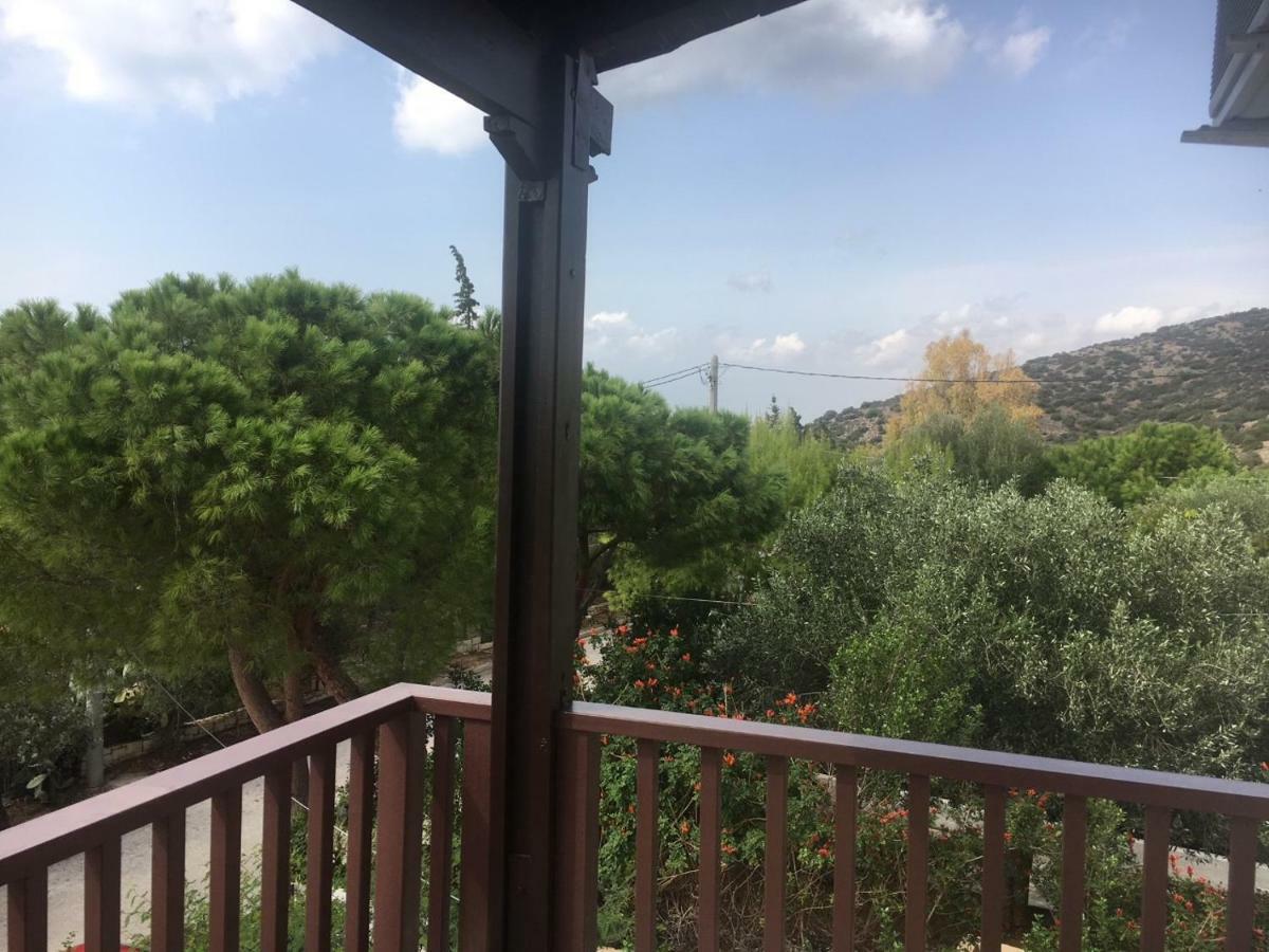 Villa Christina With Private Pool In Saronida, Near Stunning Beaches, Athens Airport & Sounio Екстер'єр фото